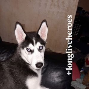 Meet your Posher, Linda